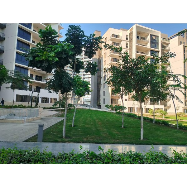 img-property