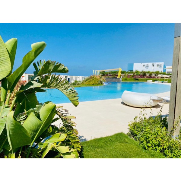 img-property