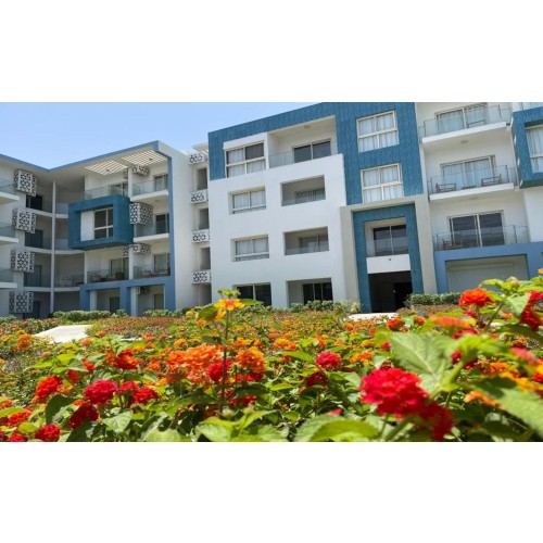 img-property