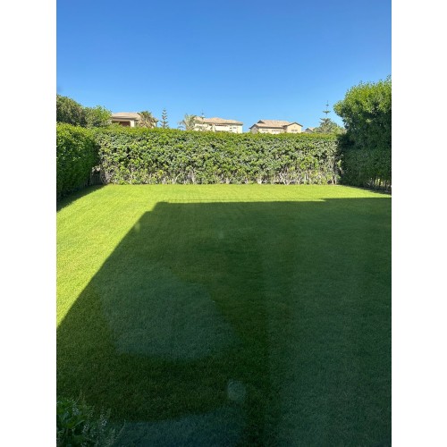 img-property