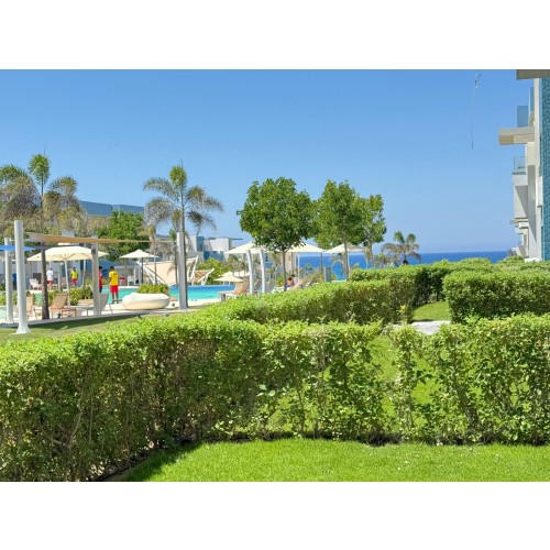 img-property