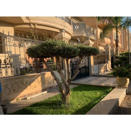 img-property