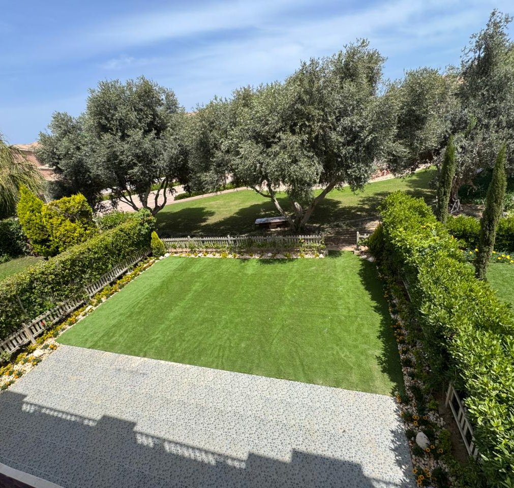 img-property
