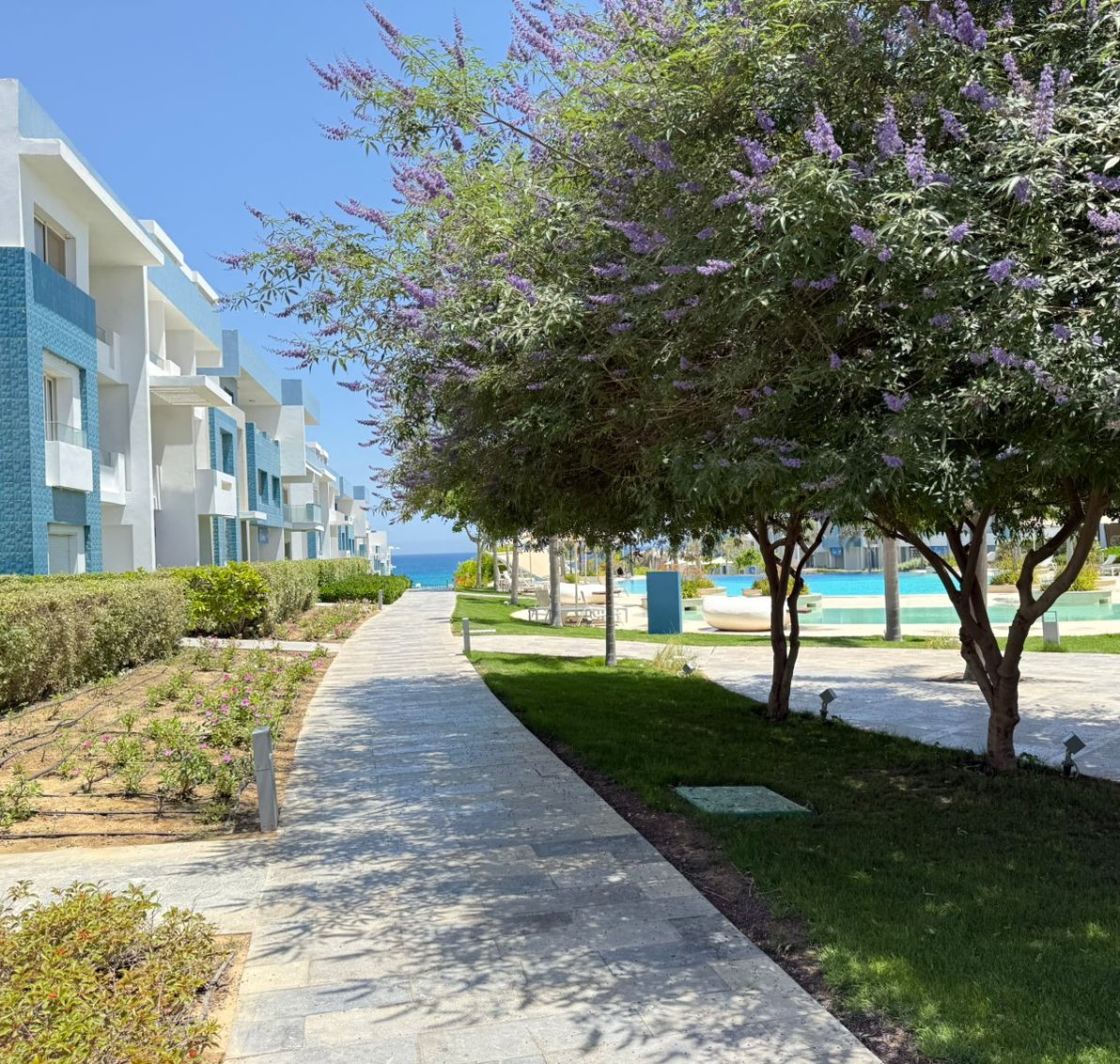 img-property