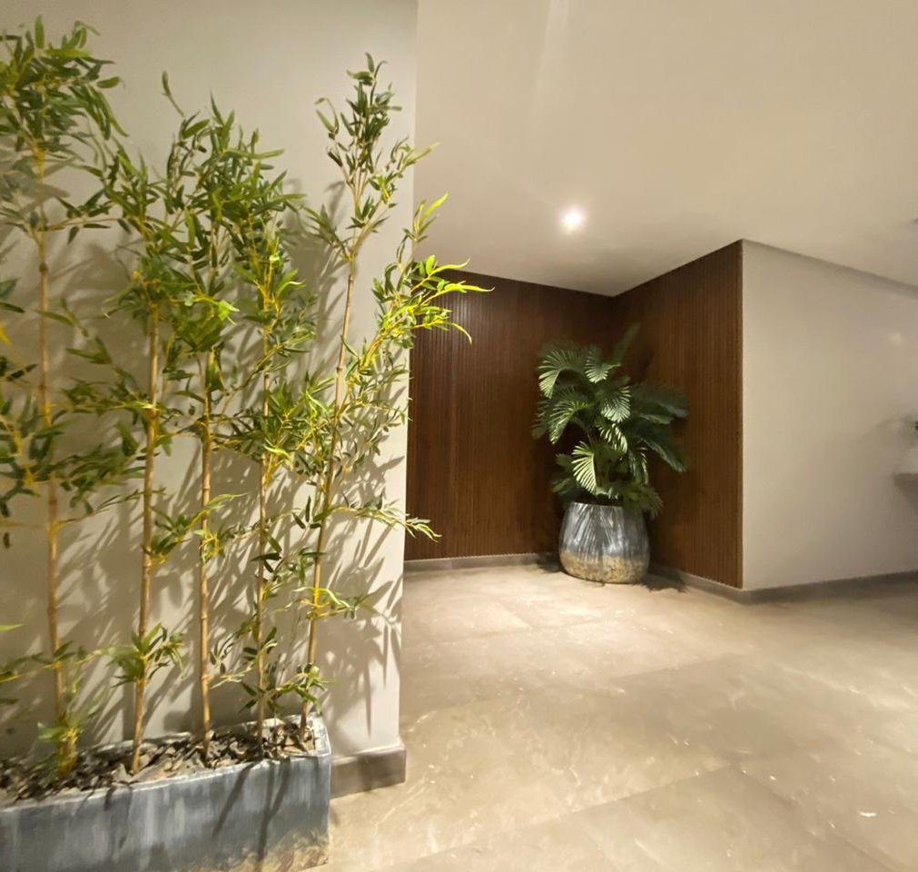 img-property